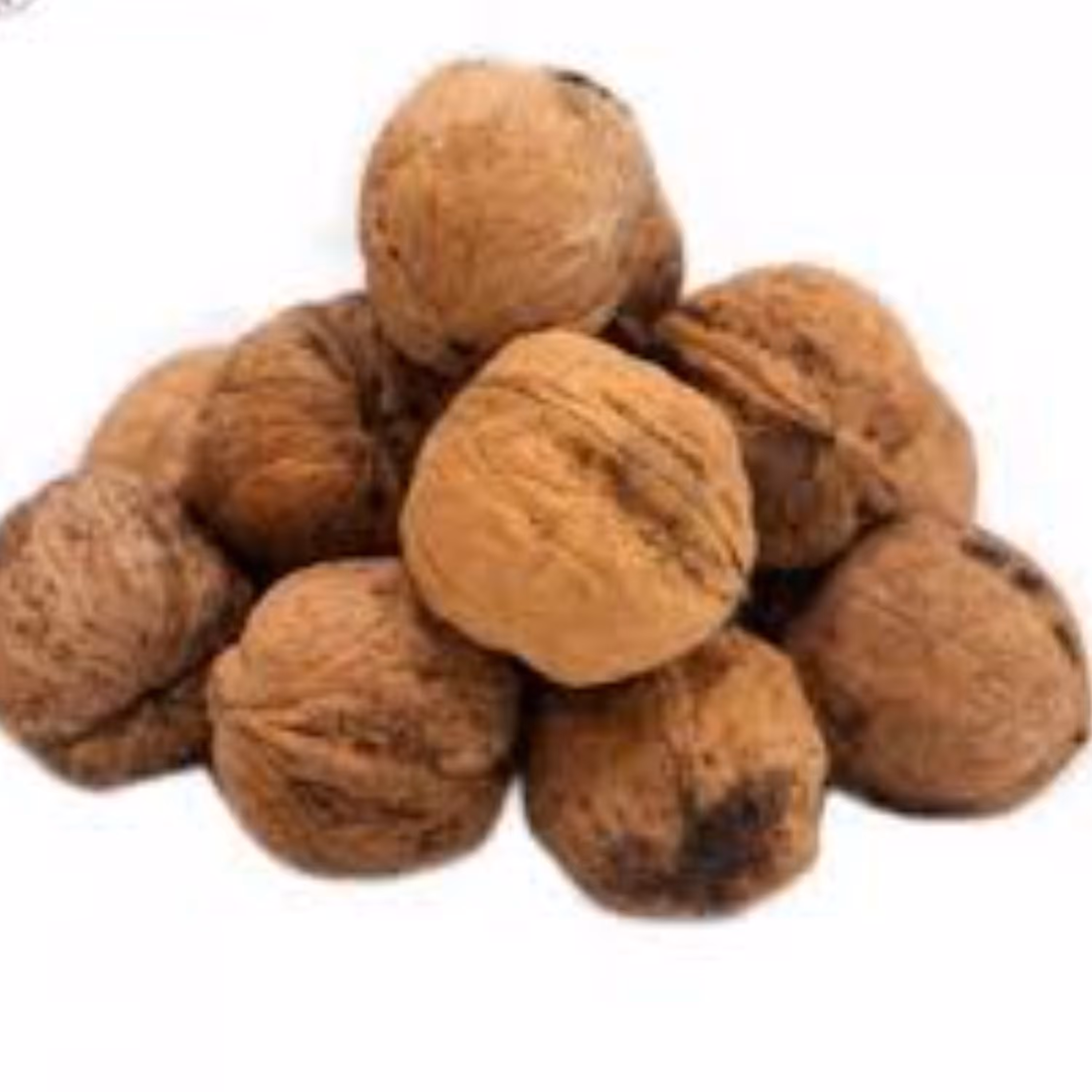 گردو ( 1 کیلویی ) عطاری نیکو طبیب