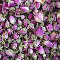غنچه گل محمدی لاله زار کرمان اعلاء یک کیلویی