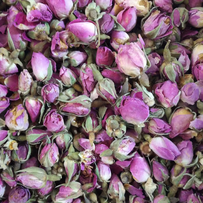 غنچه گل محمدی لاله زار کرمان اعلاء یک کیلویی