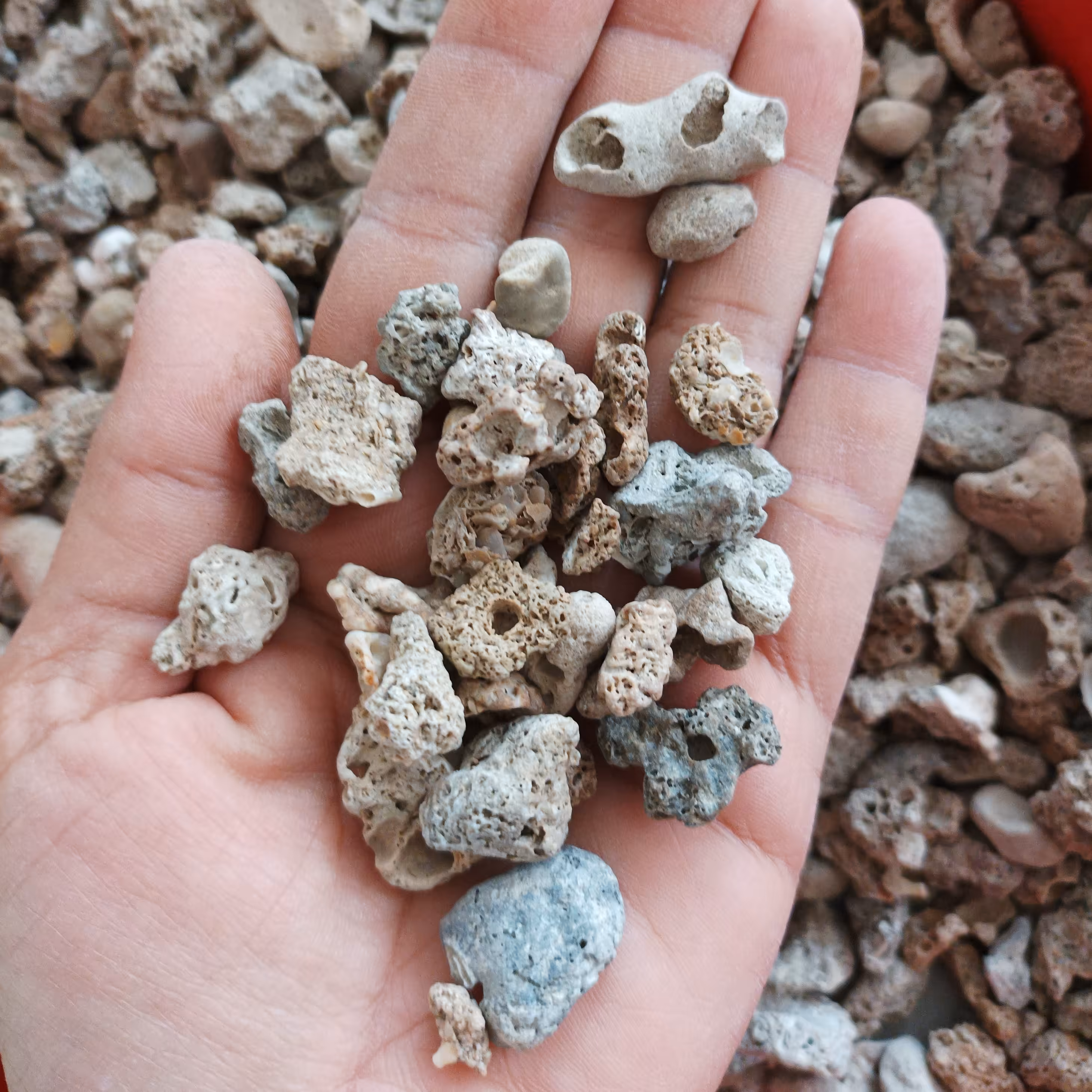 50 گرم سنگهای زیبای ساحل  مناسب شمع ، رزین ، تابلو ، اکواریوم و کارهای هنری و تزیینات