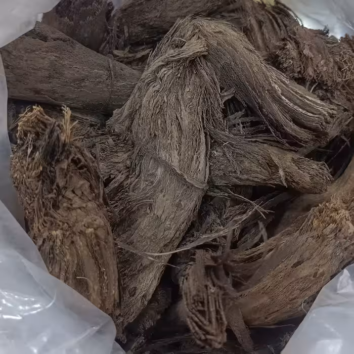 1000 گرم ریشه باباآدم باردان فیلگوش آراقیطون علف پیرزن پینه خاله 