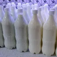 باکس 6تایی دوغ شترکویر سمنان همراه با نعنا 
