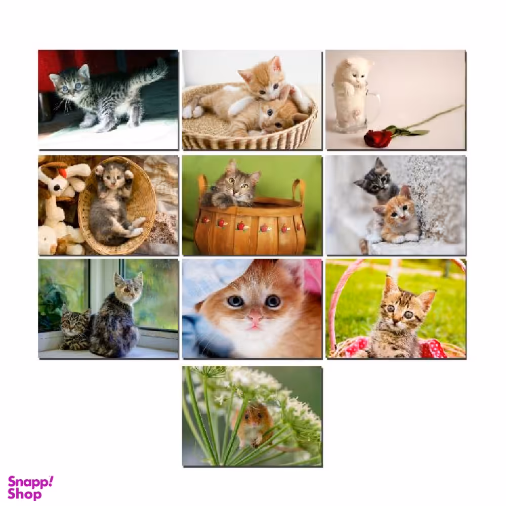 مگنت طرح موش و گربه کد NG005 مجموعه 10 عددی