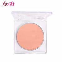 رژگونه سالوته شماره 450