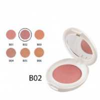 رژگونه چارمینگ شون b02