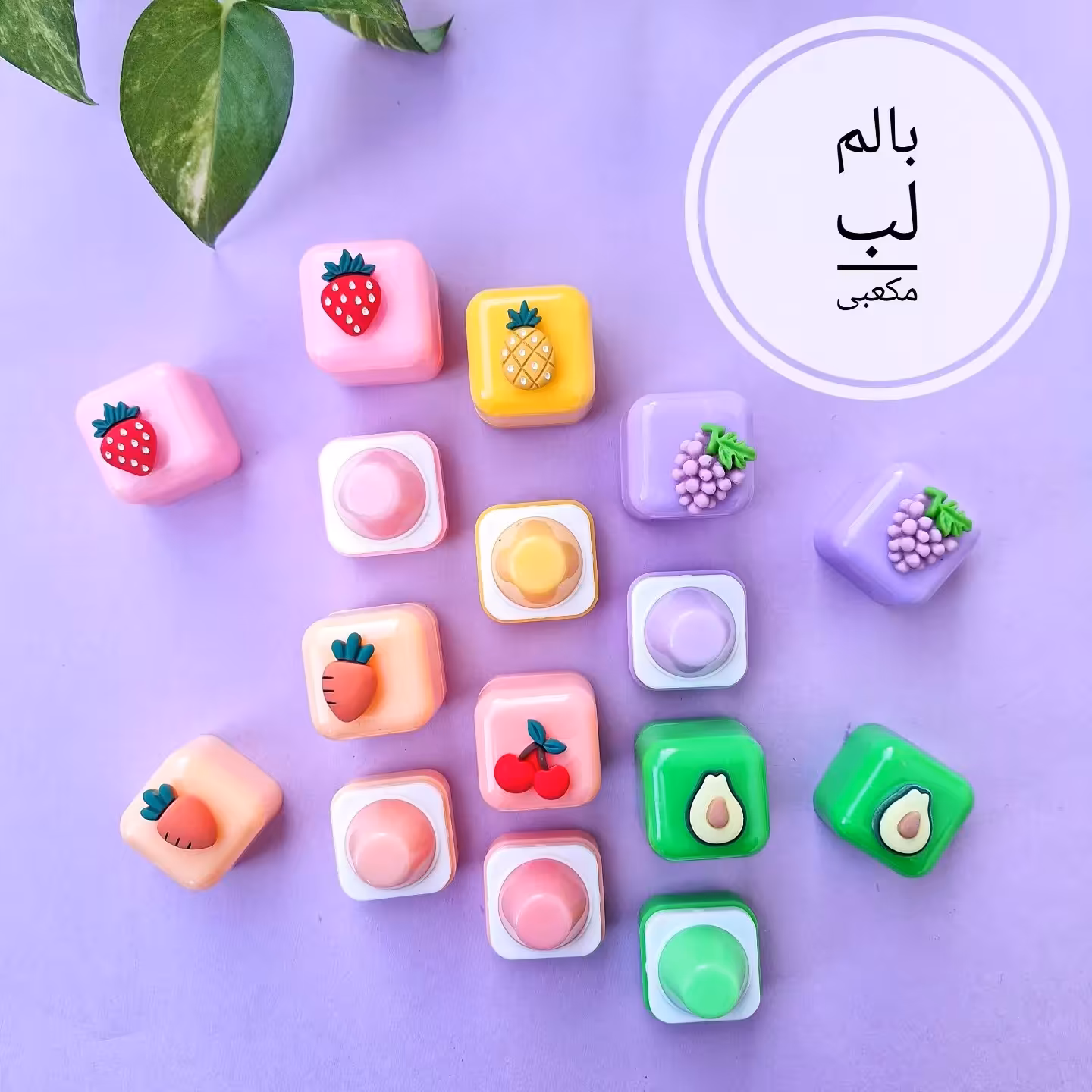 بالم لب مکعبی                                      