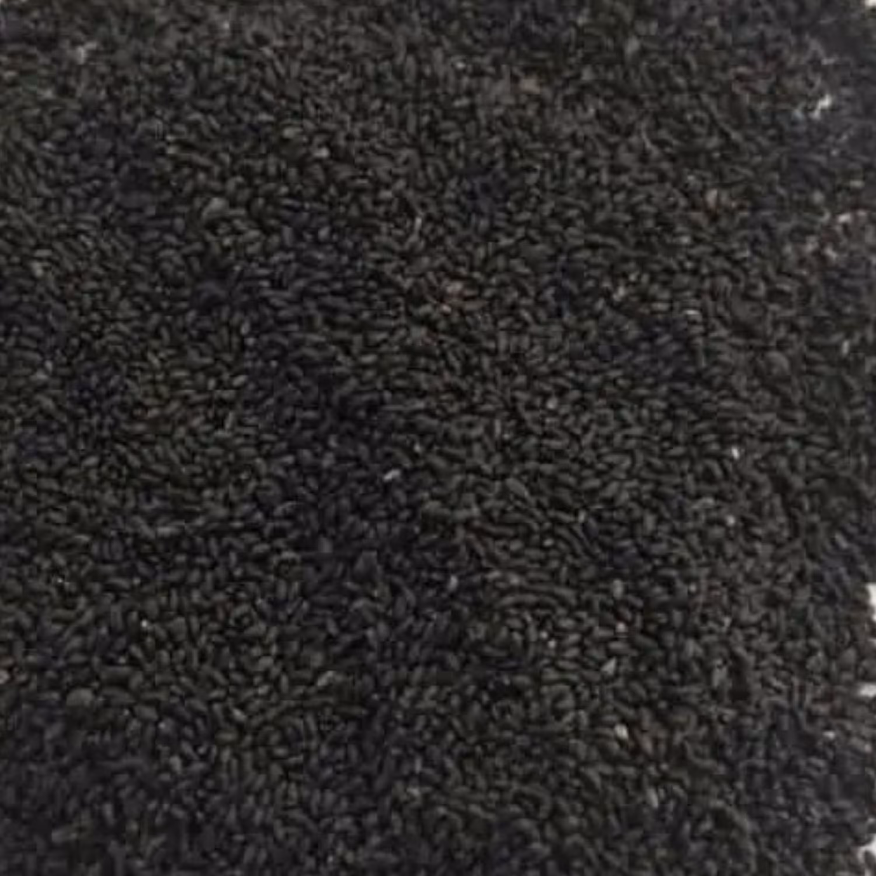 تخم شربتی ریز هندی اعلاء 100 گرمی