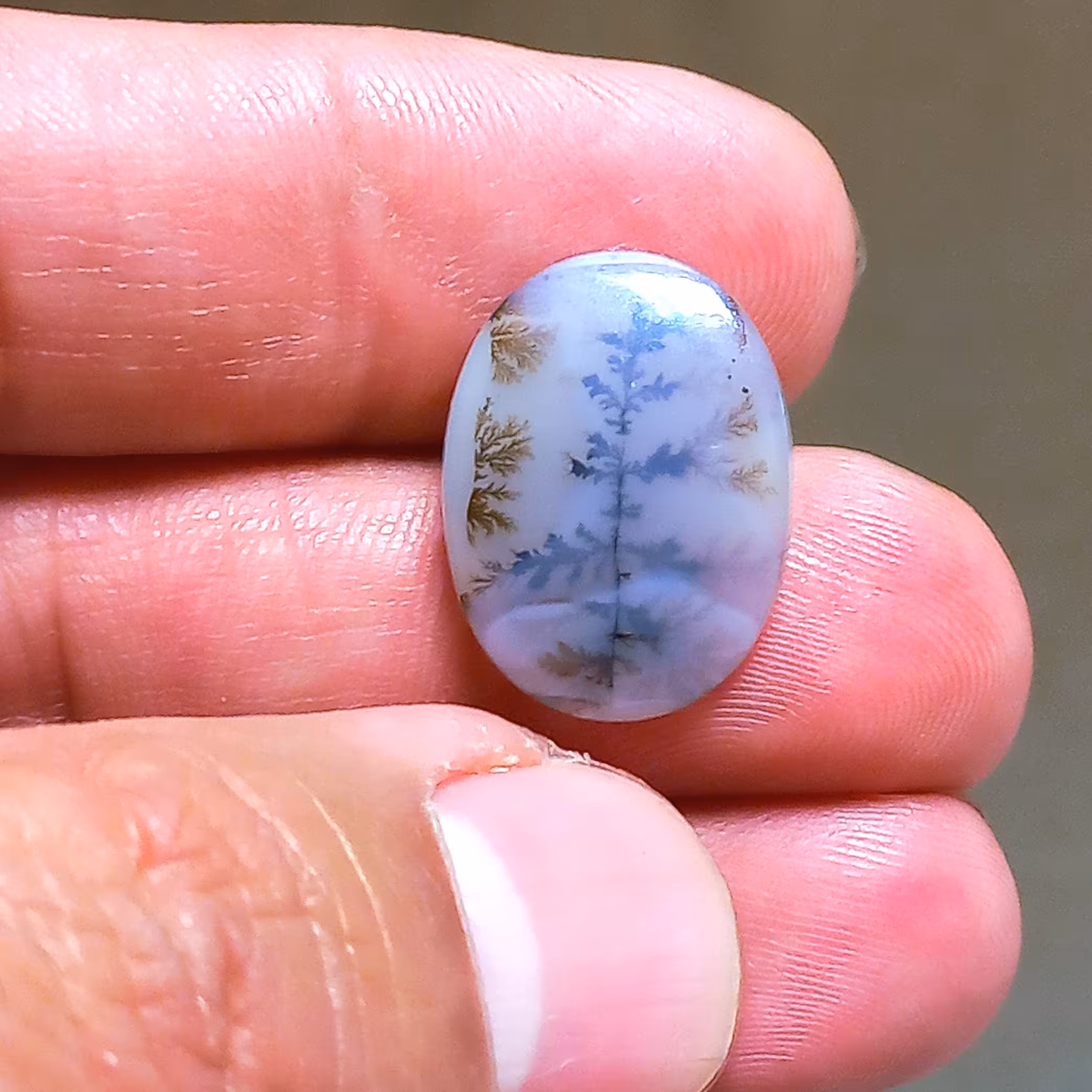 شجر تک درخت 