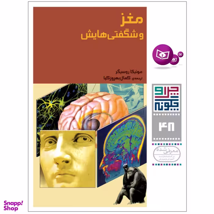 کتاب چرا و چگونه 48 مغز و شگفتی هایش اثر مونیکا روسیگر انتشارات قدیانی