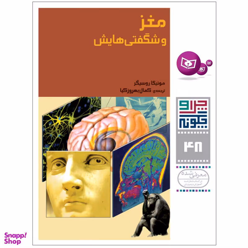 کتاب چرا و چگونه 48 مغز و شگفتی هایش اثر مونیکا روسیگر انتشارات قدیانی