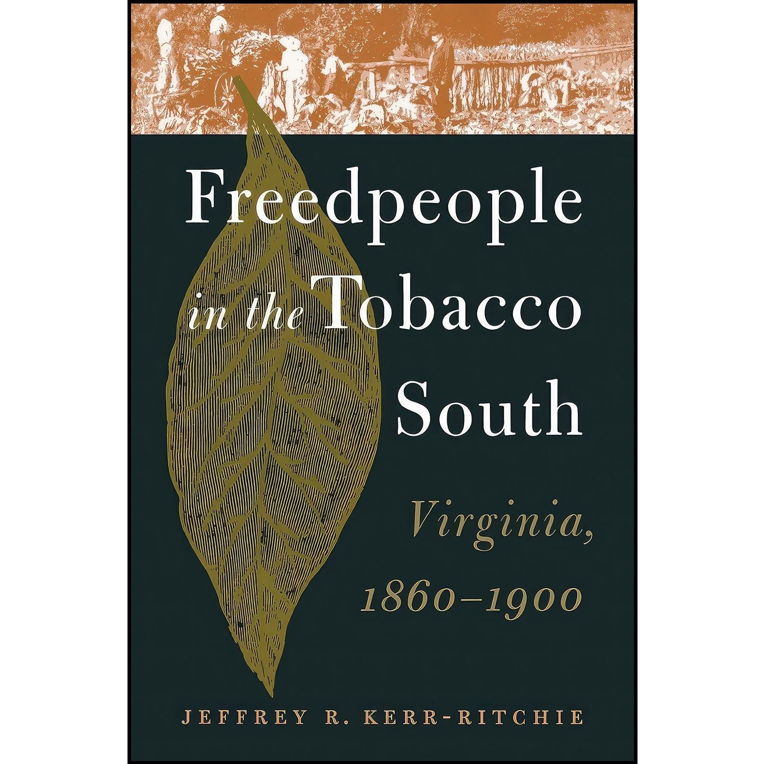 کتاب زبان اصلی Freedpeople in the Tobacco South اثر Jeffrey R KerrRitchie