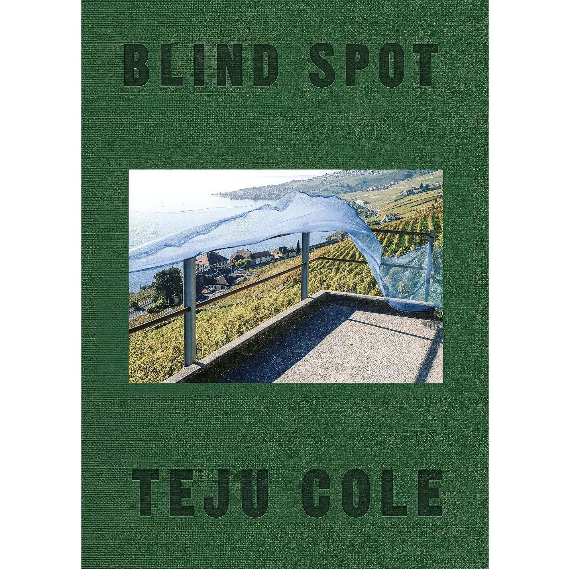 کتاب زبان اصلی Blind Spot اثر Teju Cole and Siri Hustvedt انتشارات Random House