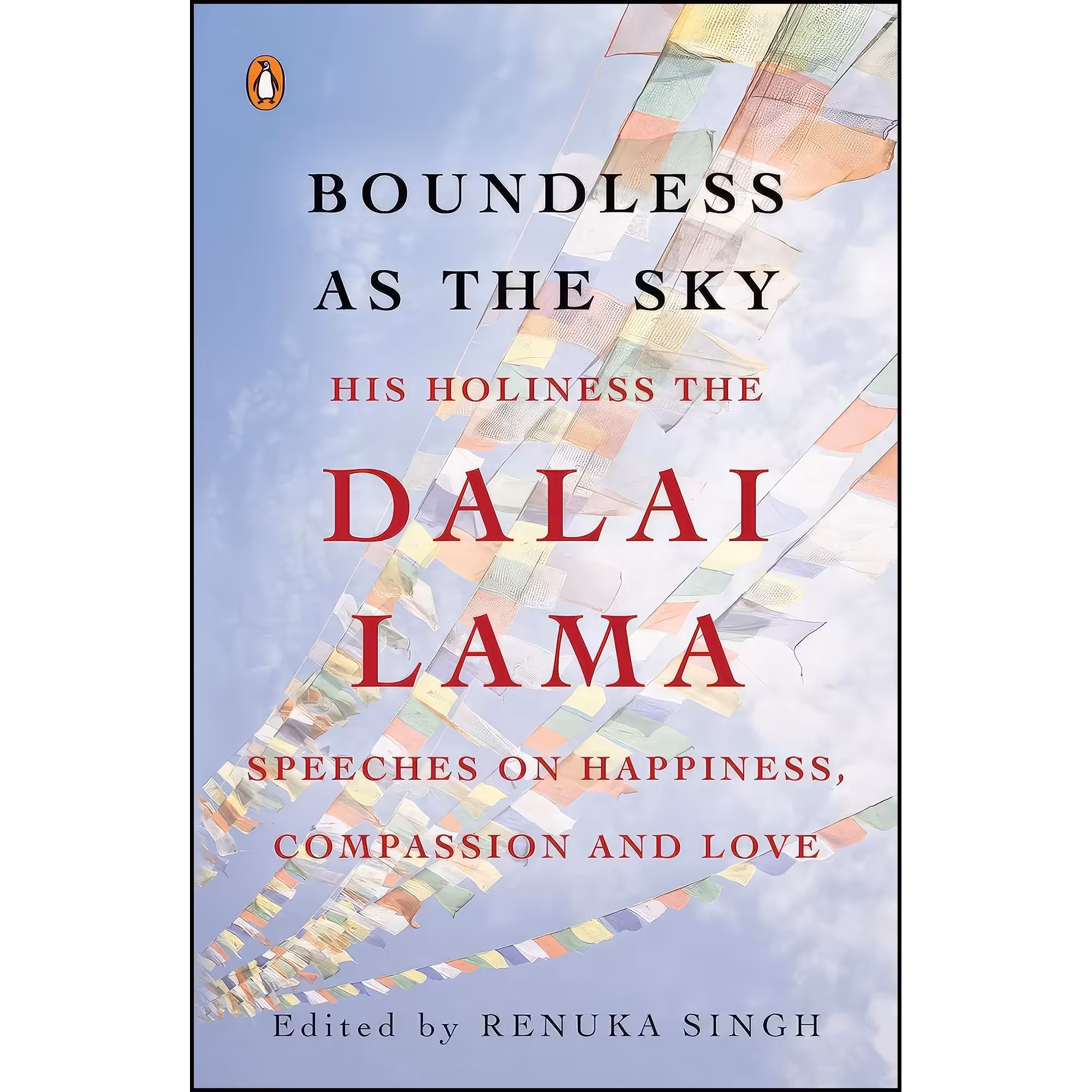 کتاب زبان اصلی Boundless as the Sky اثر Renuka Singh انتشارات Penguin Global