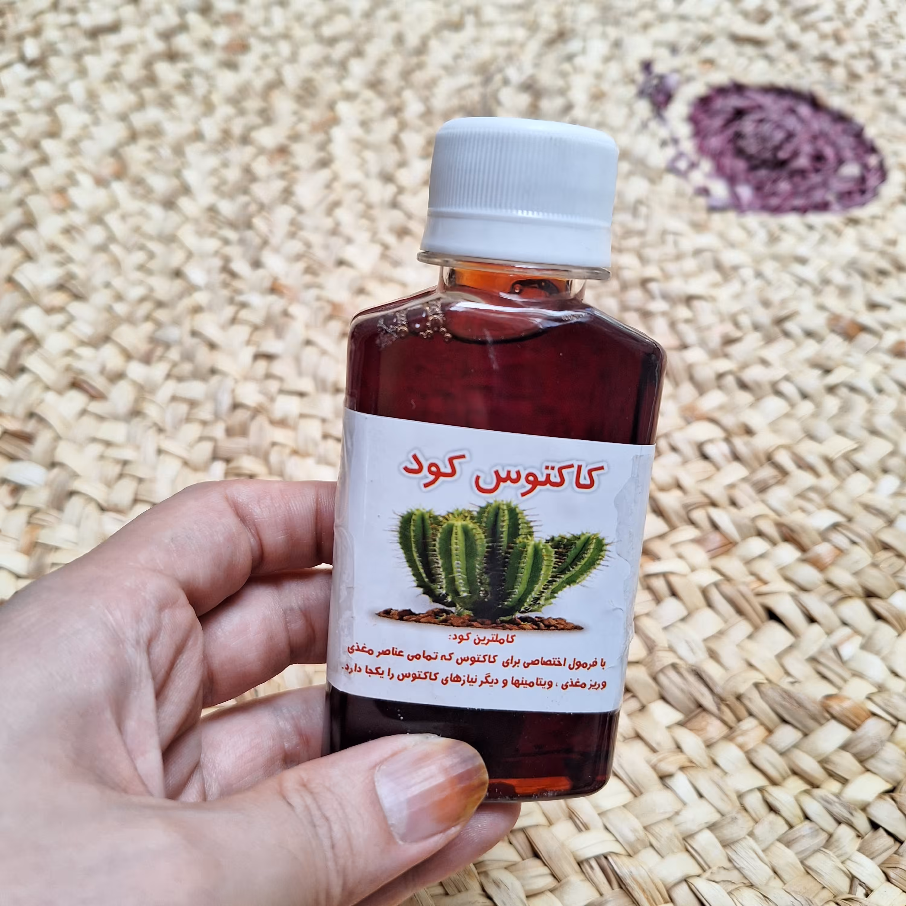 کود مخصوص کاکتوسی پک سه عددی تخفیف ویژه برای رشد و پاجوشدهی کاکتوس