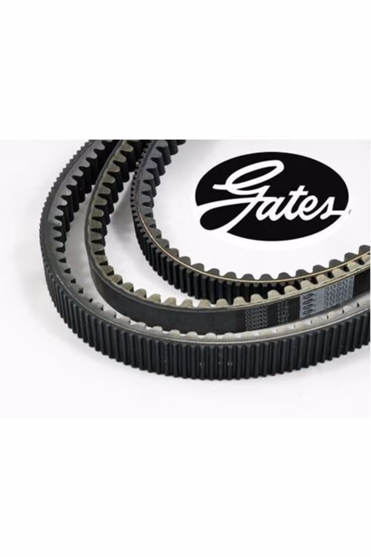 SILWERWING 600 دروازه MOTO11 اورجینال Honda