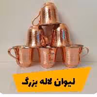 لیوان لاله شش  عددی همراه با نانو