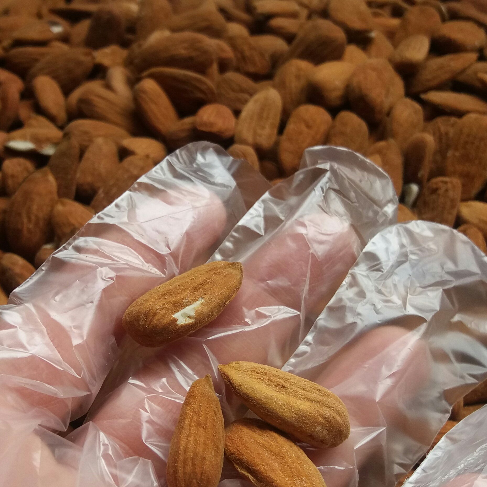 مغز بادام خام واعلا ایرانی 500 گرمی