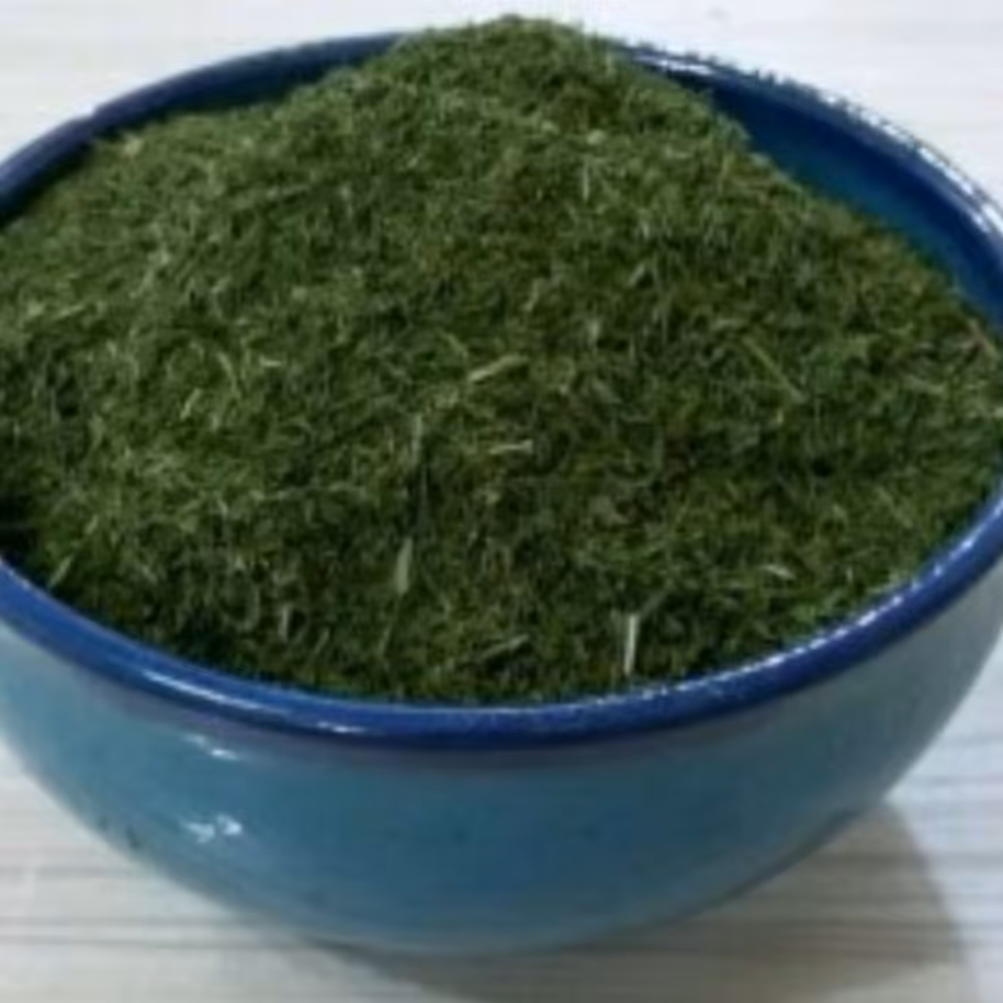 شوید خشک شده