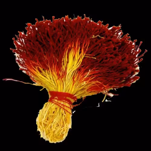 زعفران دسته گل فریز