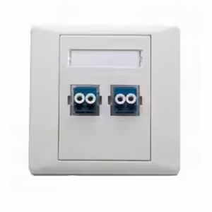 خرید پریز فیبر نوری 2 پورت داپلکس - بهترین قیمت   گارانتی 12 ماهه در آی تی شبکه