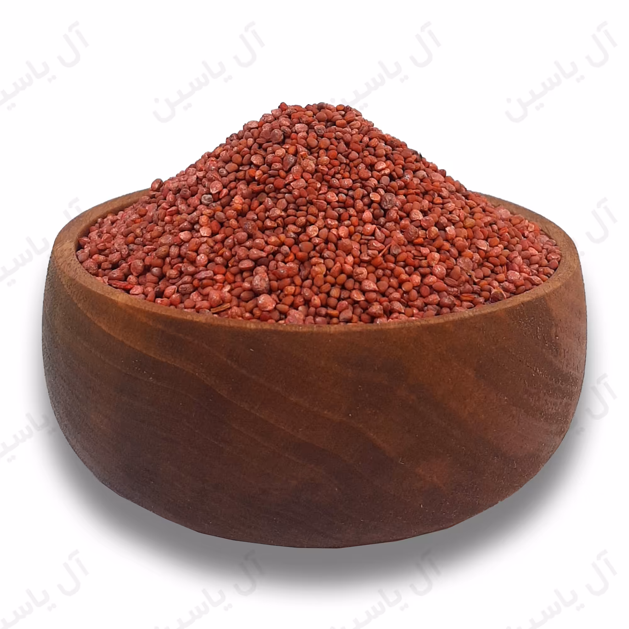 تخم تربچه (کیلویی)