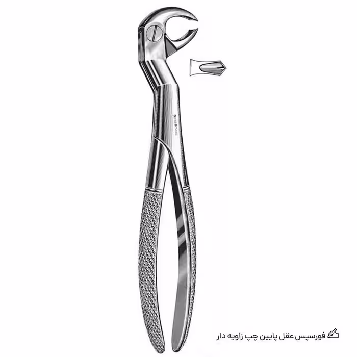 فورسپس عقل پایین چپ زاویه دار