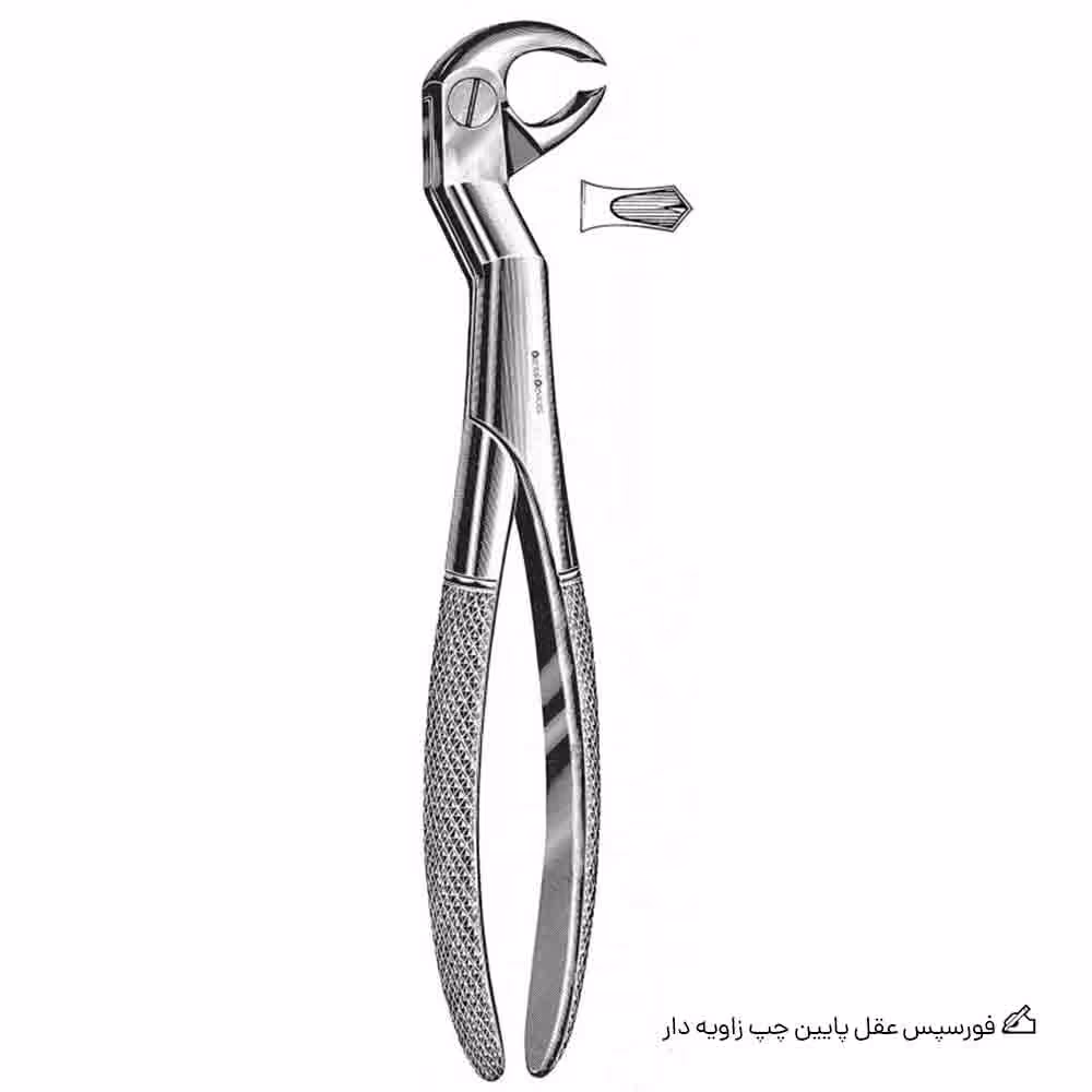 فورسپس عقل پایین چپ زاویه دار