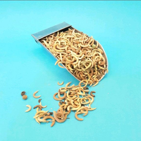 گیاه ناخنک فدک (150گرم)