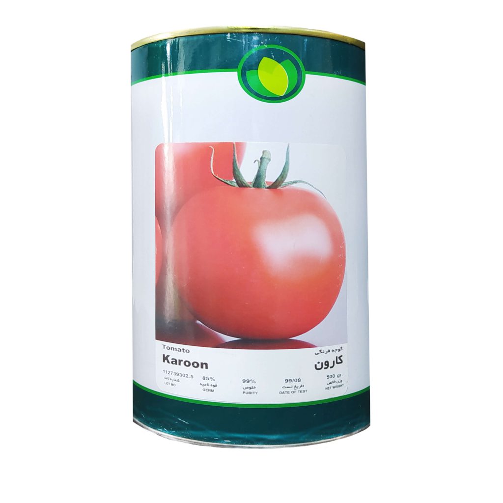 بذر گوجه فرنگی کارون