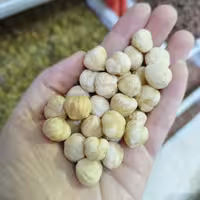 مغزفندق سفید لوکس(یک کیلو) ارسال رایگان