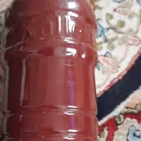 ترشی یا رب  ازگیل(کندس) وحشی وحشی طبیعی  و درجه یک  از جنگل شمال . خودمون از جنگل می چینیم و بعد به صورت سنتی پخت میکنیم