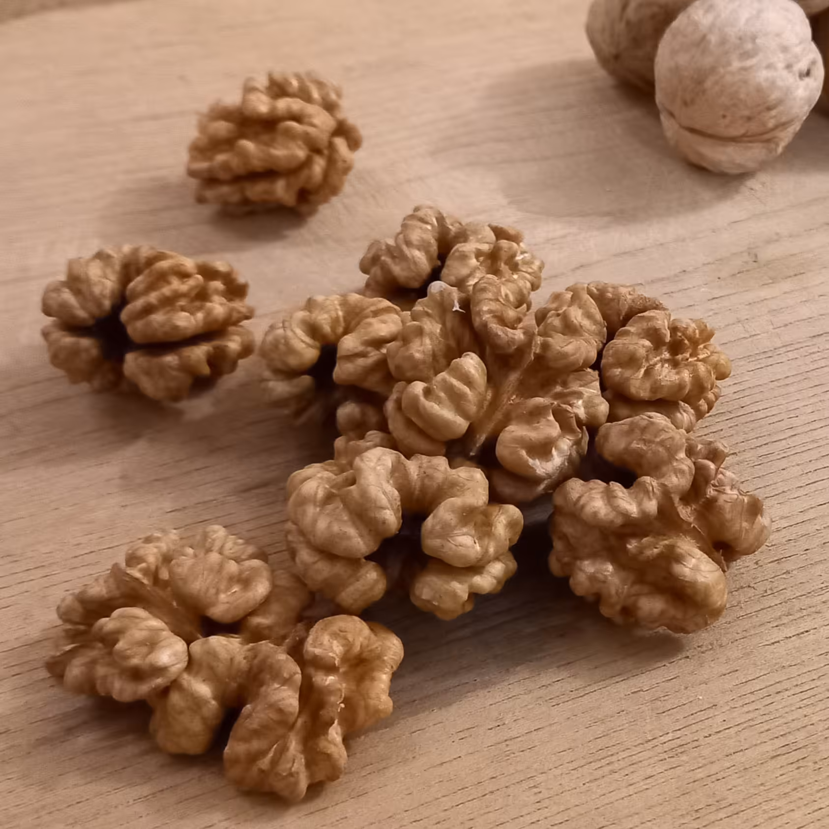 مغز گردو ضیاءآباد، نیم کیلویی، 1401