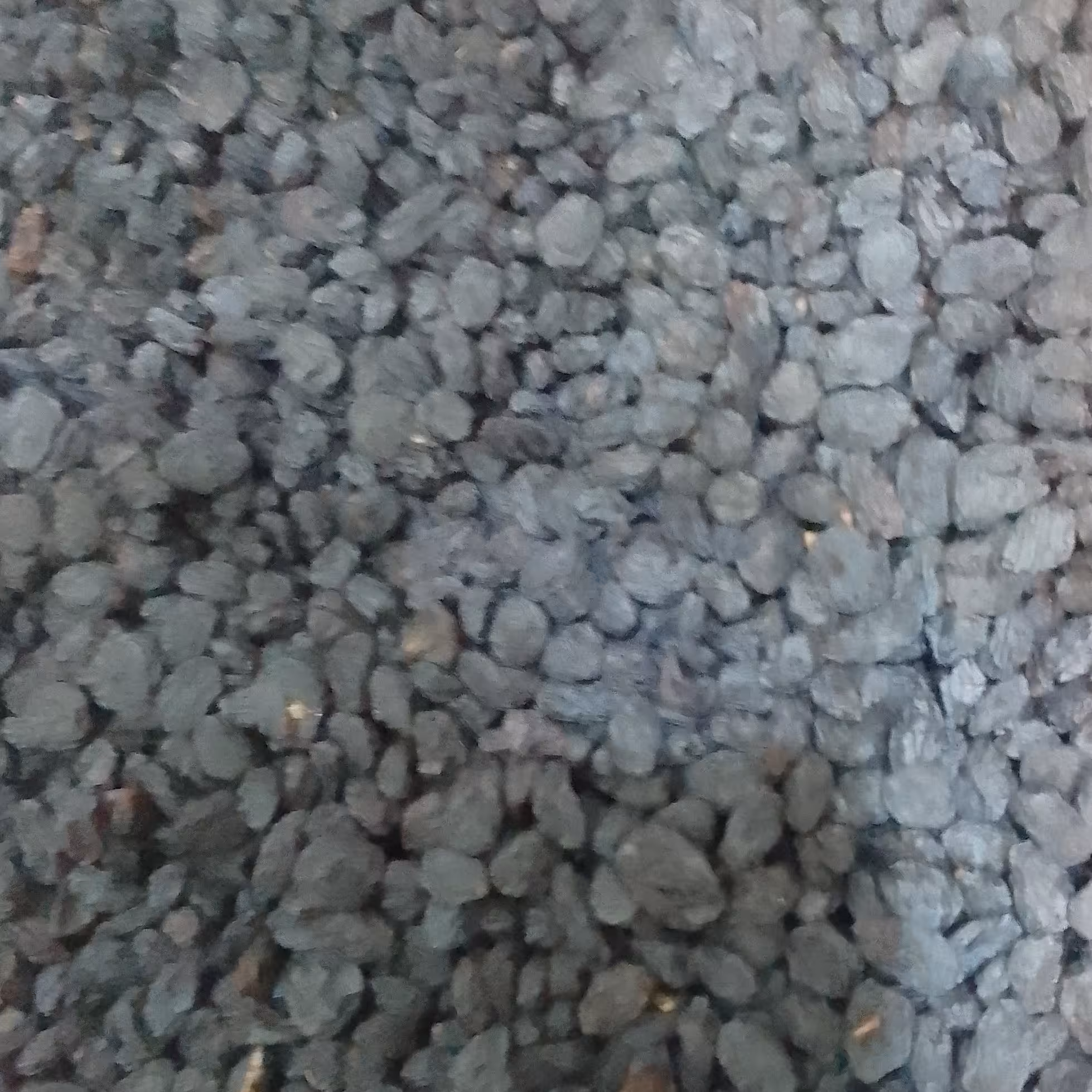 مویز افغان بی هسته اعلا (کارتن 10 کیلویی)