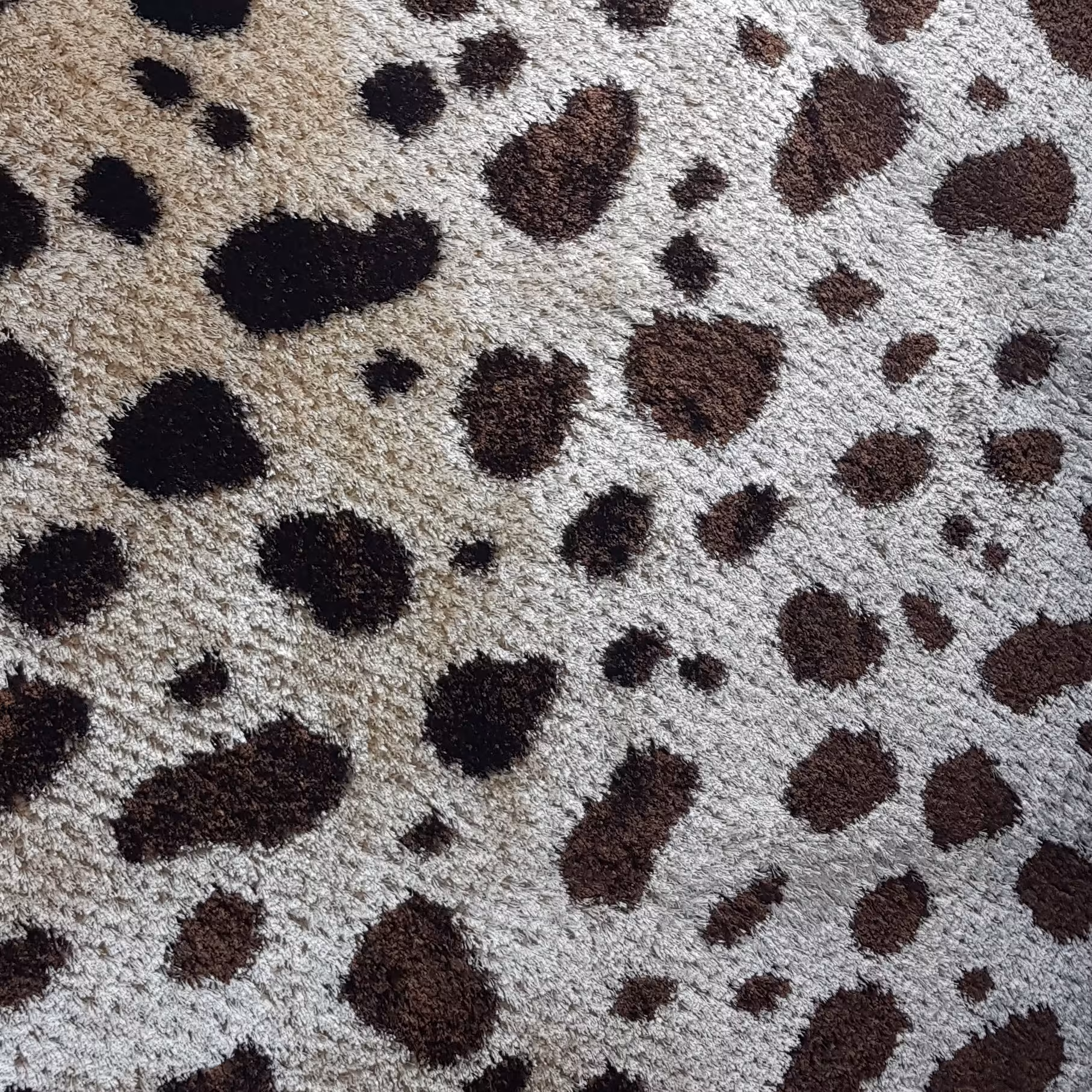 فرش ماشینی  شگی کد5055کرم قهوه ایی(ارسال با باربری و به صورت پسکرایه