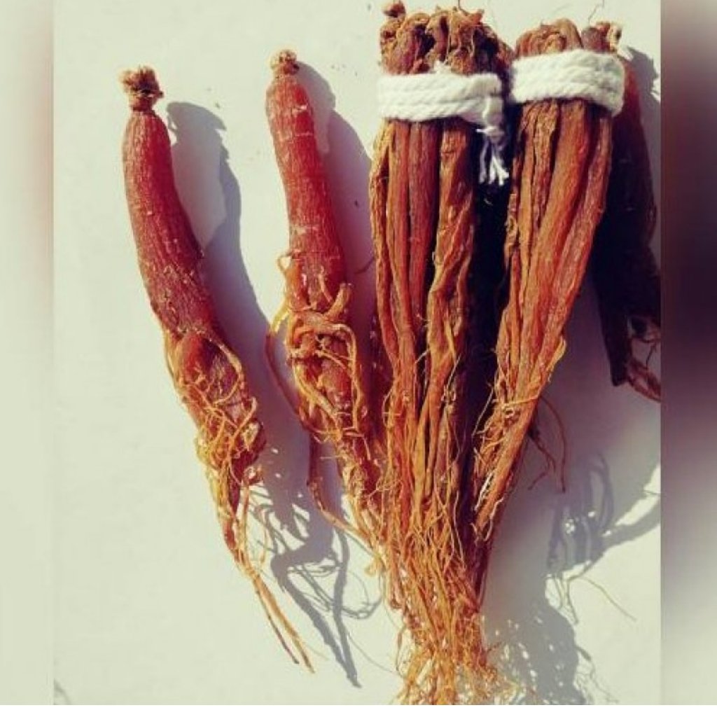 ریشه گیاهی جنسینگ قرمز 50 گرم