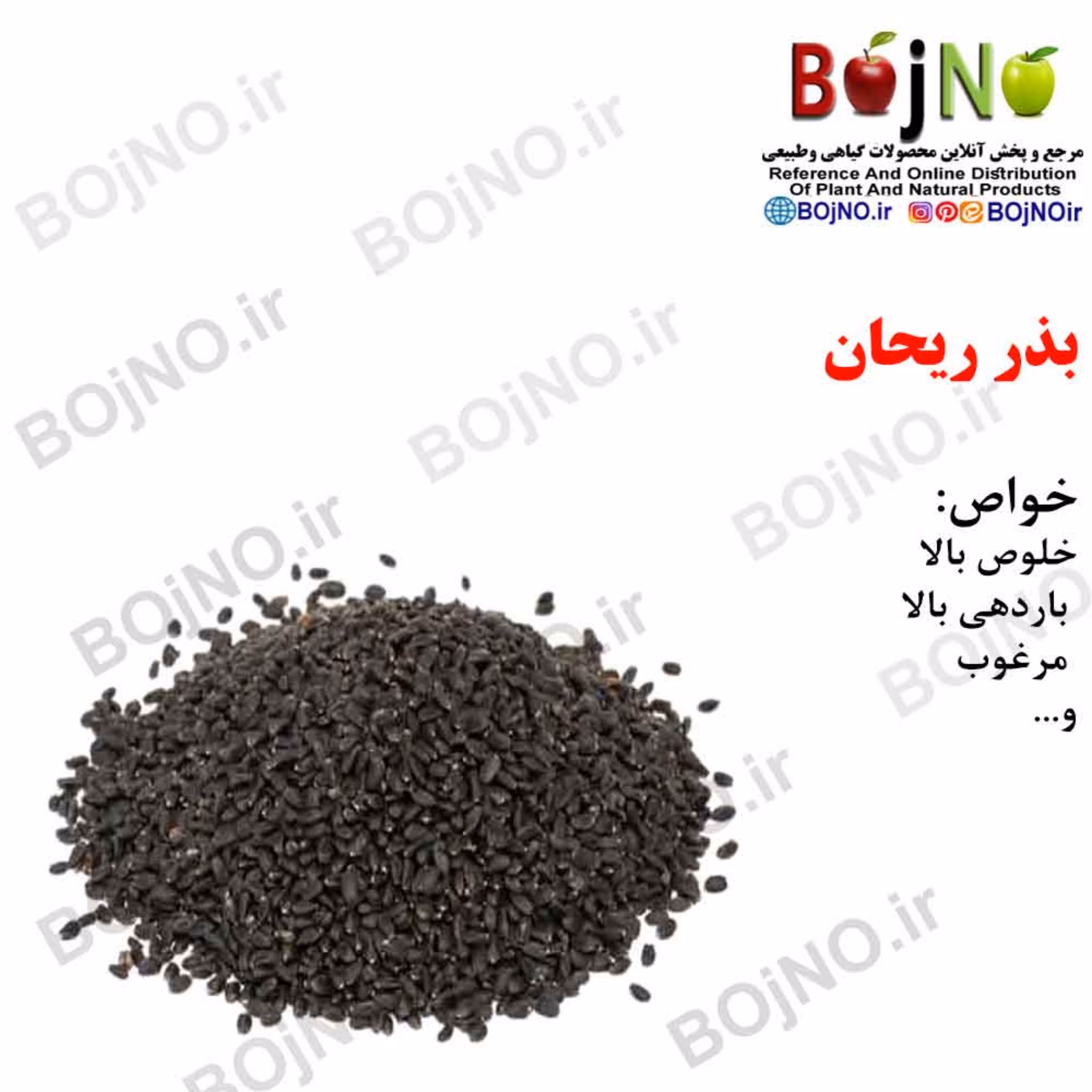 بذر ریحان (بسته 50گرمی)