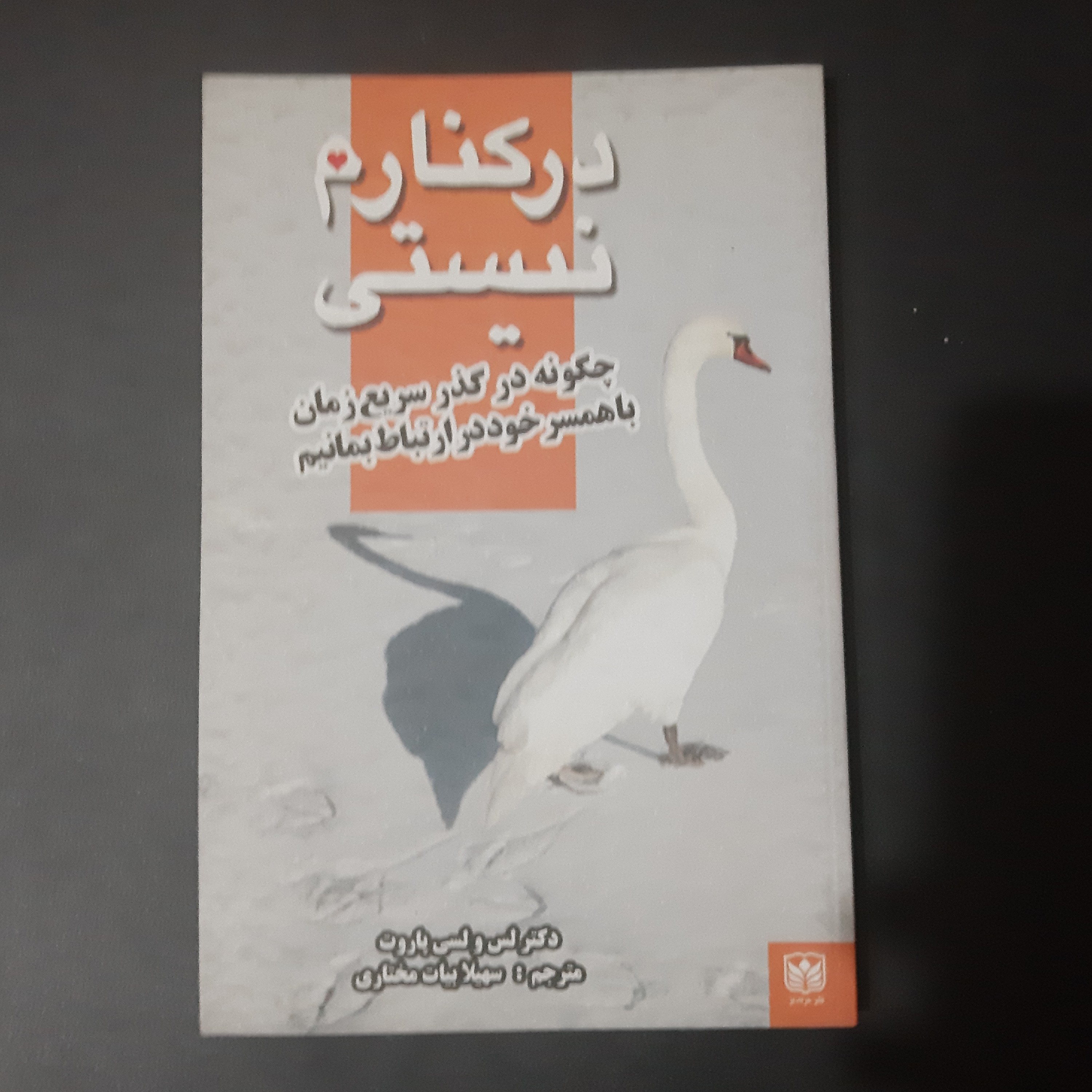 کتاب در کنارم نیستی