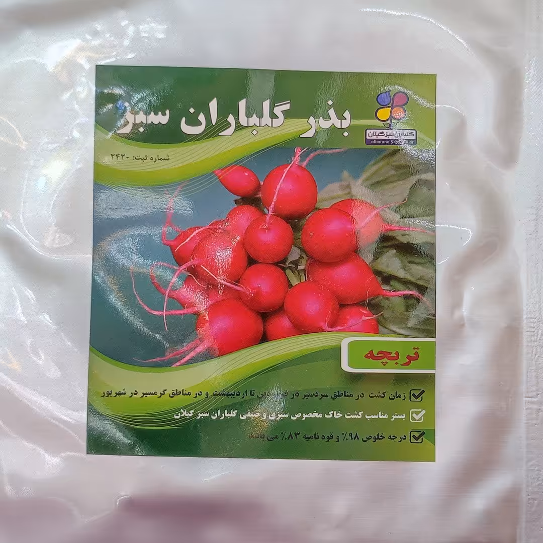 بذر تربچه اصلاح شده گیلان