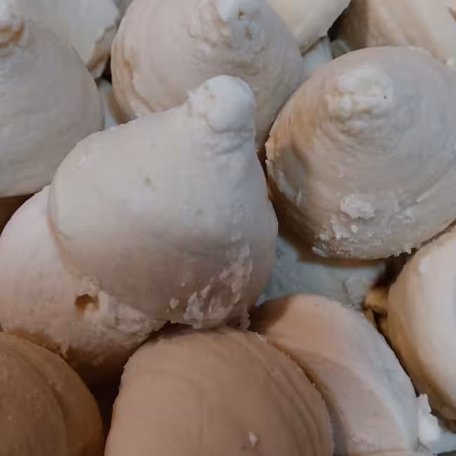 کشک نرم و تازه ی محلی،طعم واقعی کشک، درجه یک‌و اعلا از شیر تازه  (500 گرمی)