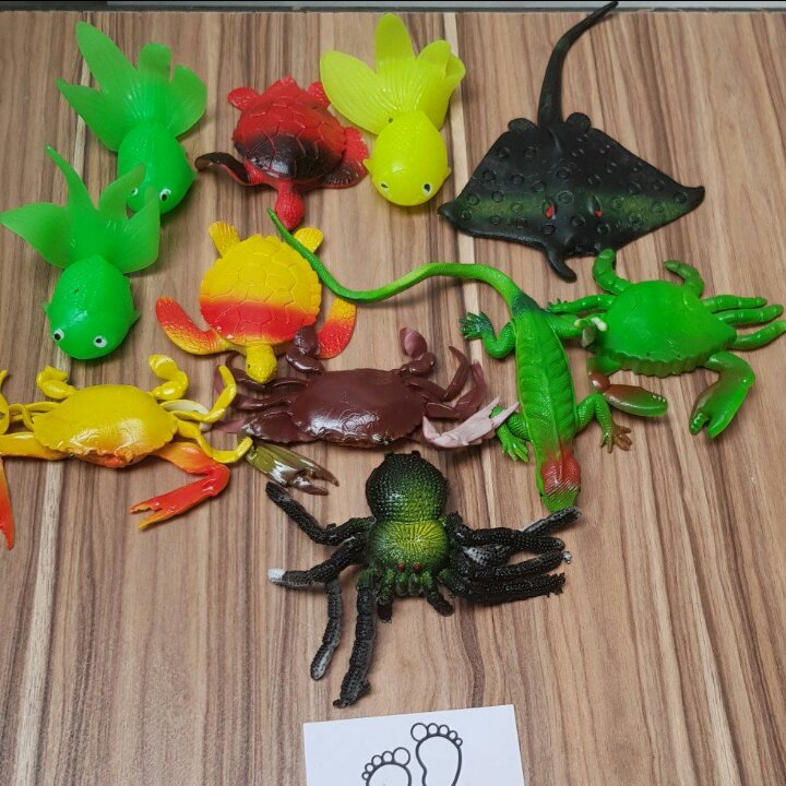 جانوار بسته های10عددی ژله ای