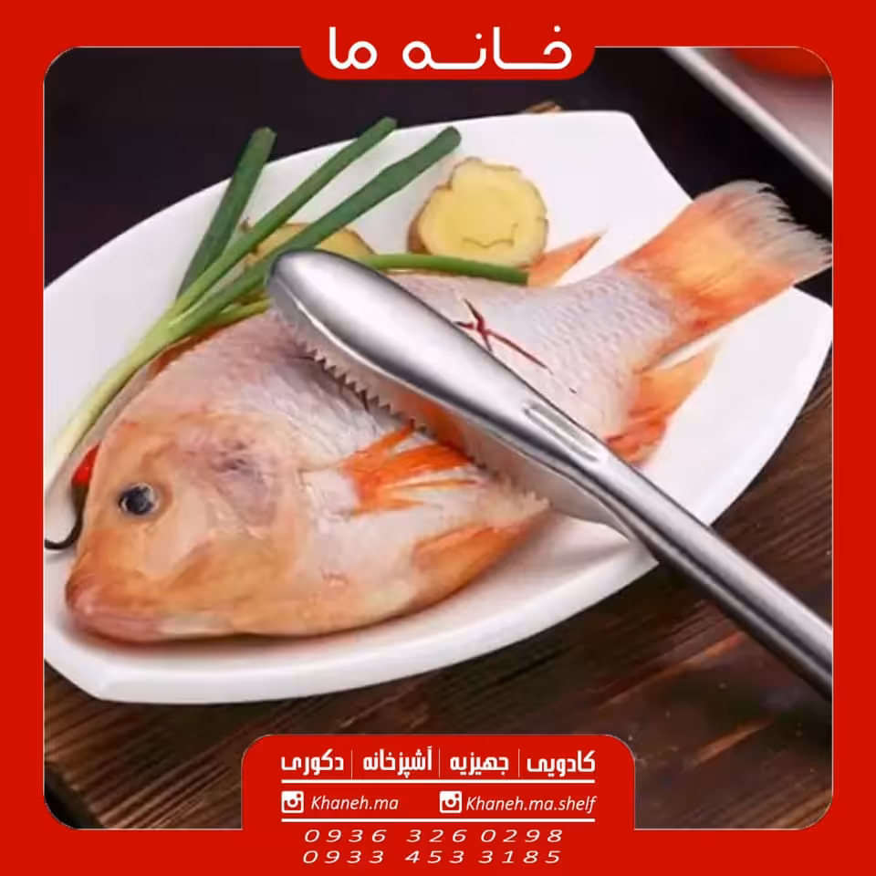 پولک گیر ماهی استیل مدل q88