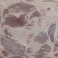 کالباس آندره 90درصد خشک پرسی