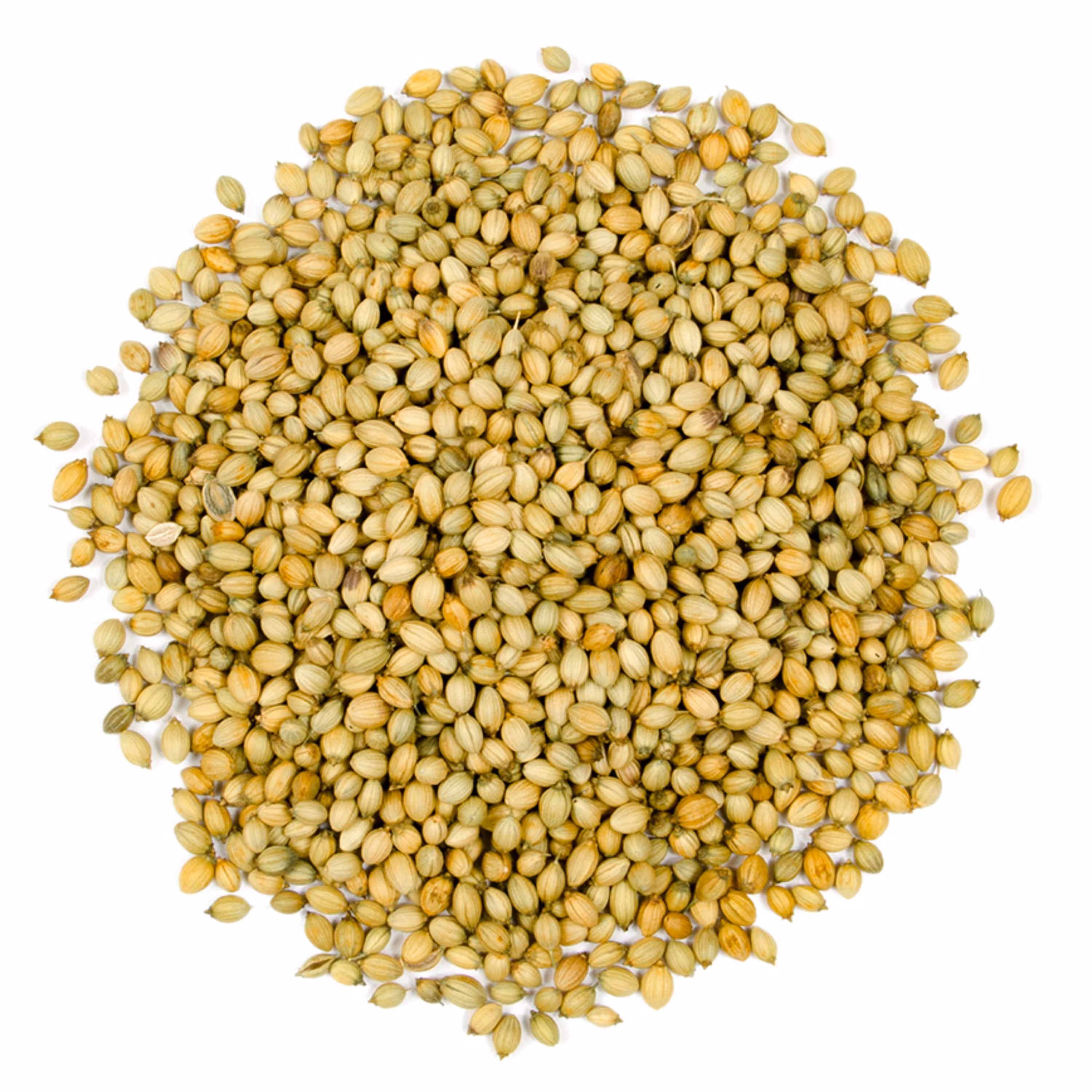 تخم گشنیز 250 گرمی اعلا