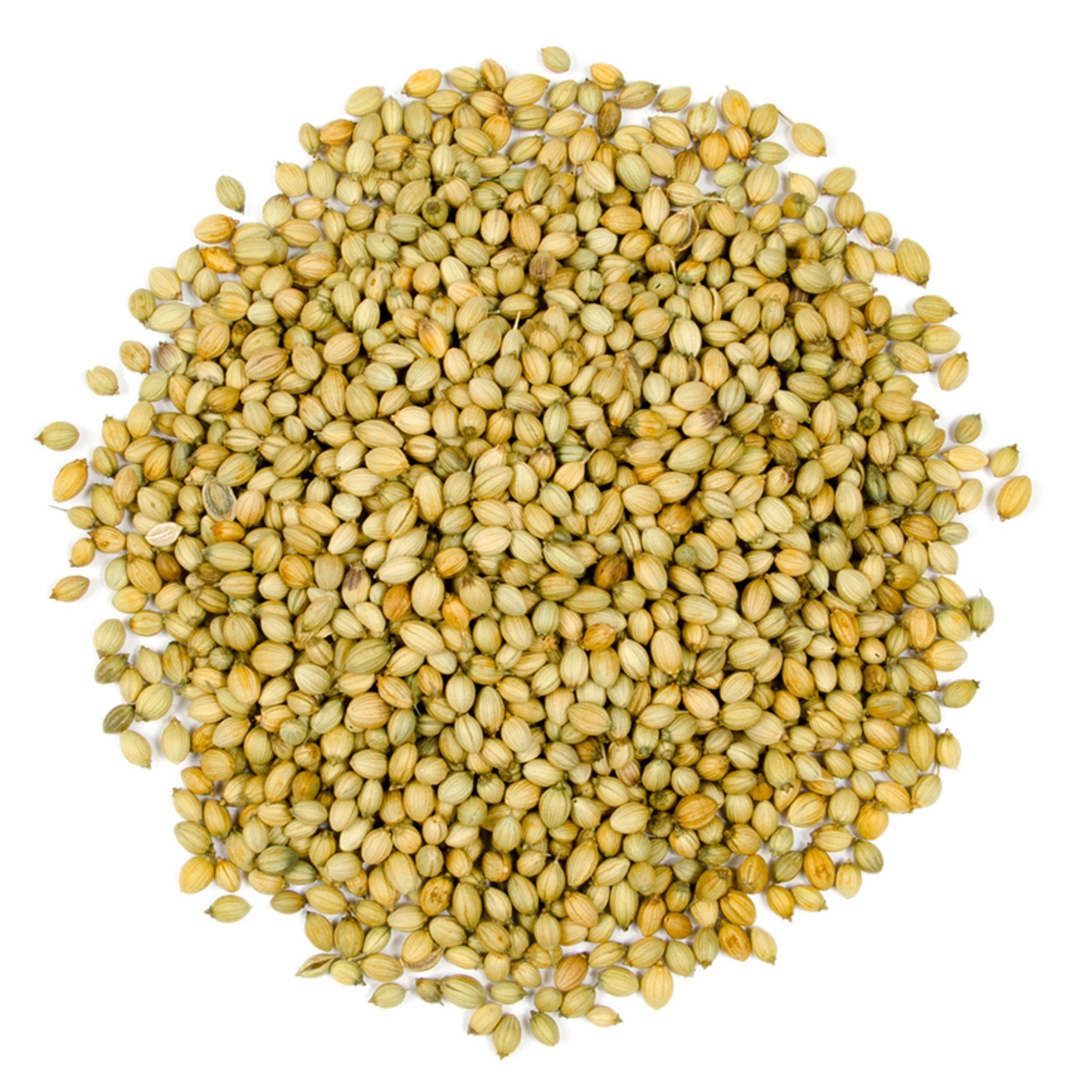 تخم گشنیز 250 گرمی اعلا 