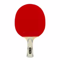 راکت پینگ پنگ فرندشیپ مدل 729 Friendship Table Tennis Bat | حرفه ای