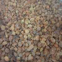 کشمش پلویی ممتاز طلایی 1000 گرمی(تضمین کیفیت)