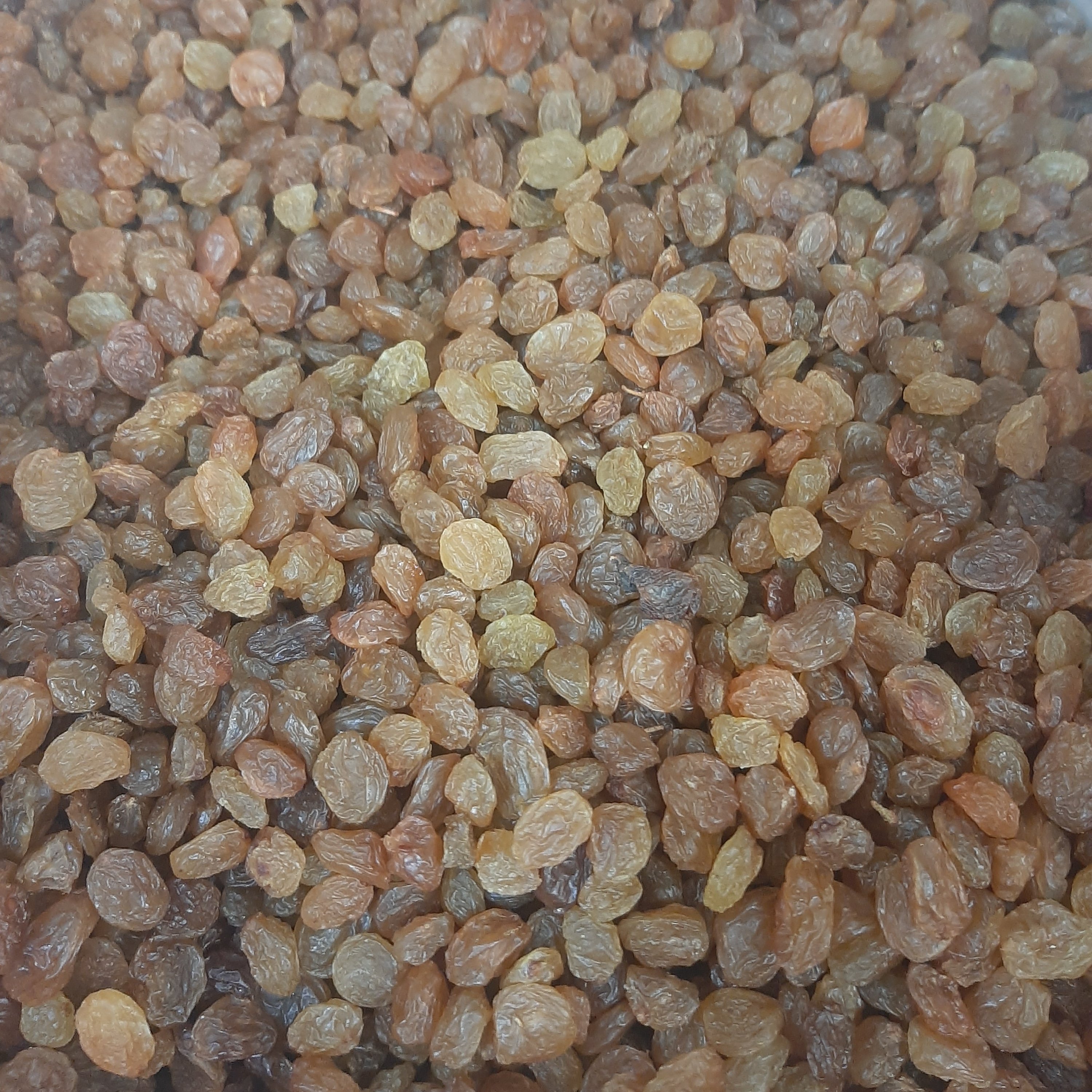کشمش پلویی ممتاز طلایی 1000 گرمی(تضمین کیفیت)