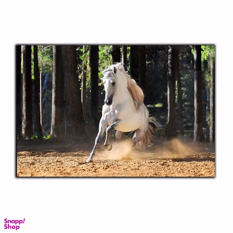 تابلو شاسی بکلیت طرح جنگل و اسب مدل SH-7529