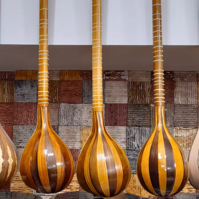 سه تار حیدری یک مهر 