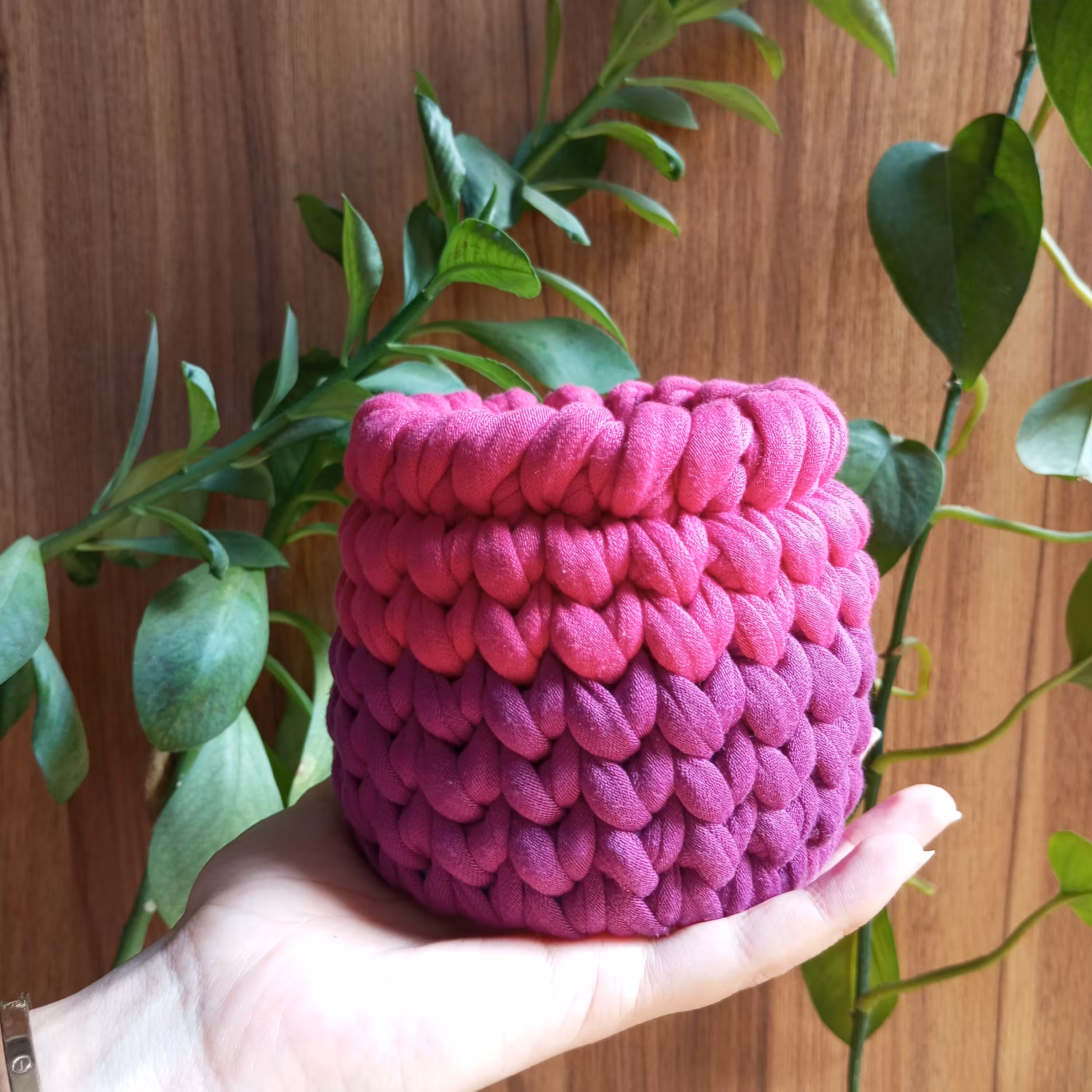 جامدادی تریکو